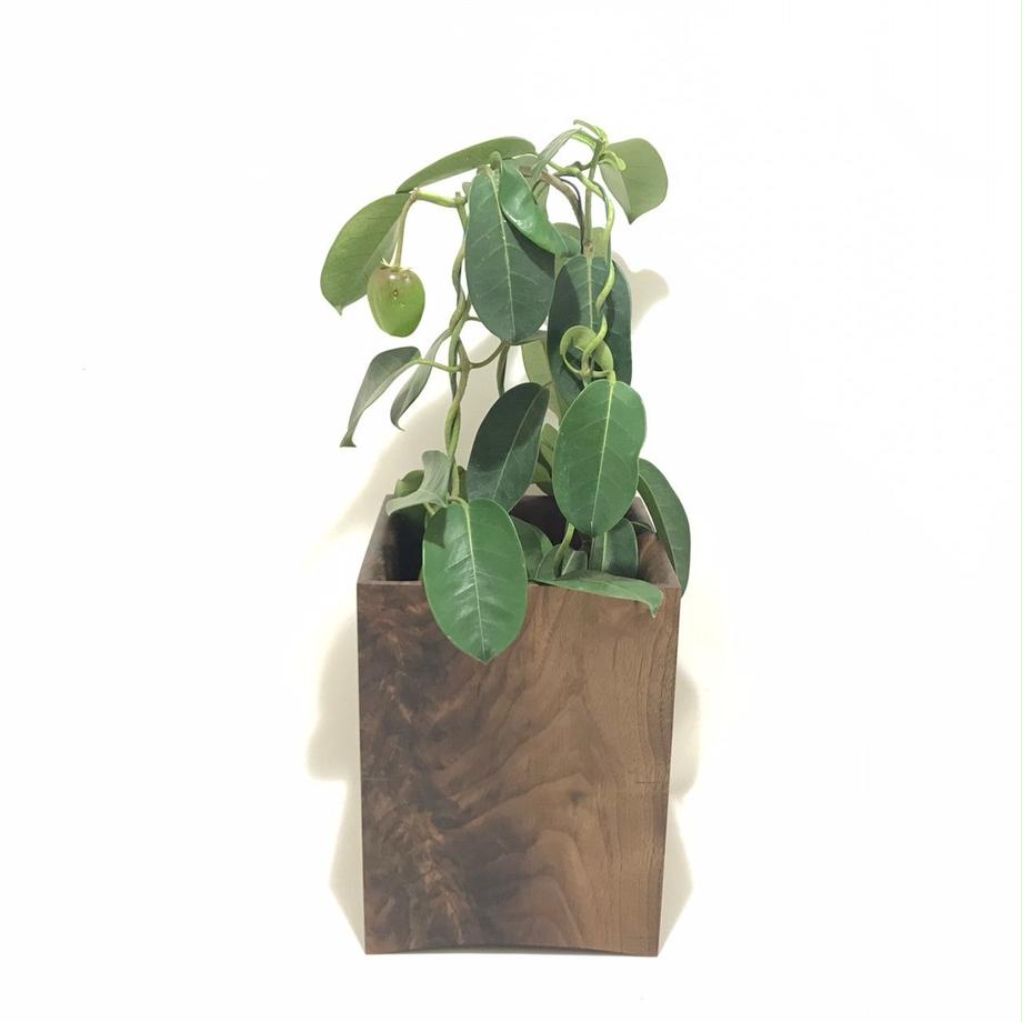 【若い衆作品】 planter cover 土田真之
