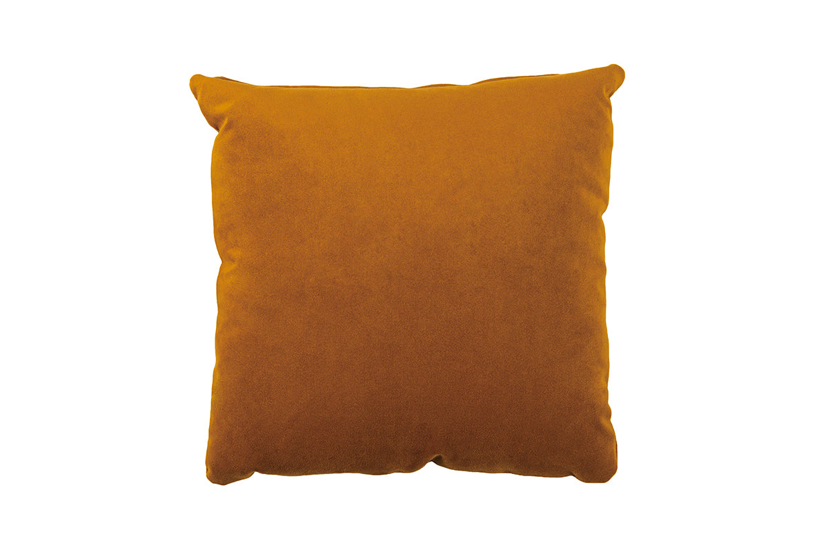 cushion