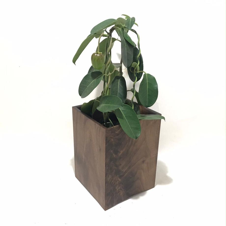 【若い衆作品】 planter cover 土田真之