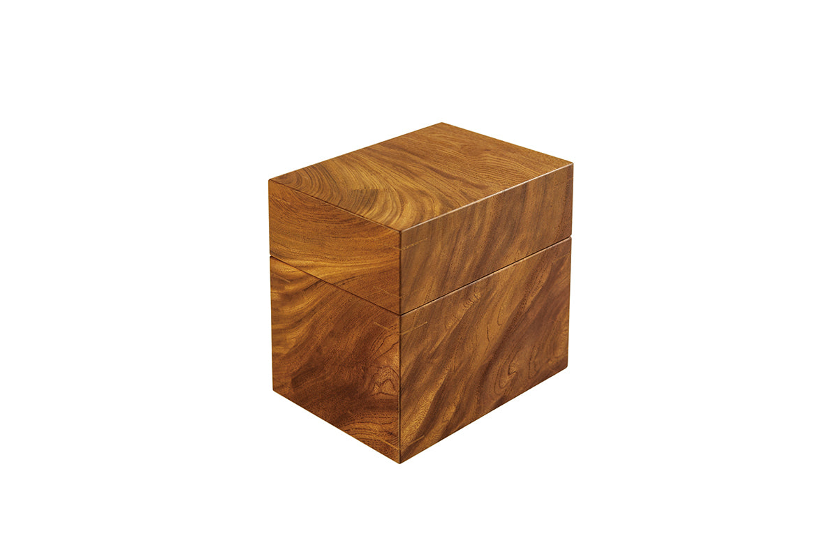 Japanese Zelkova Single