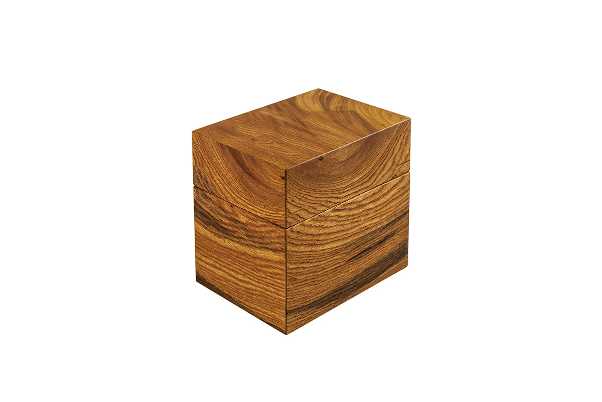Japanese Zelkova Single