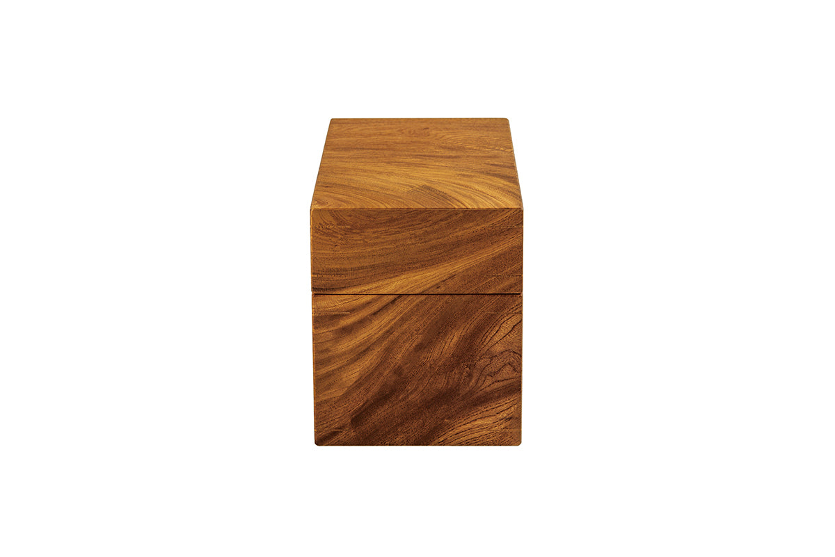 Japanese Zelkova Single