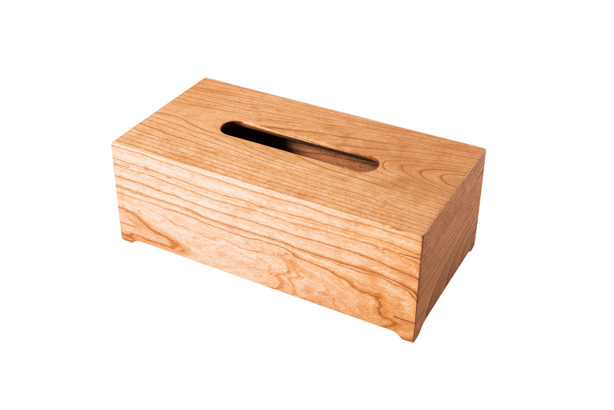 tissue case