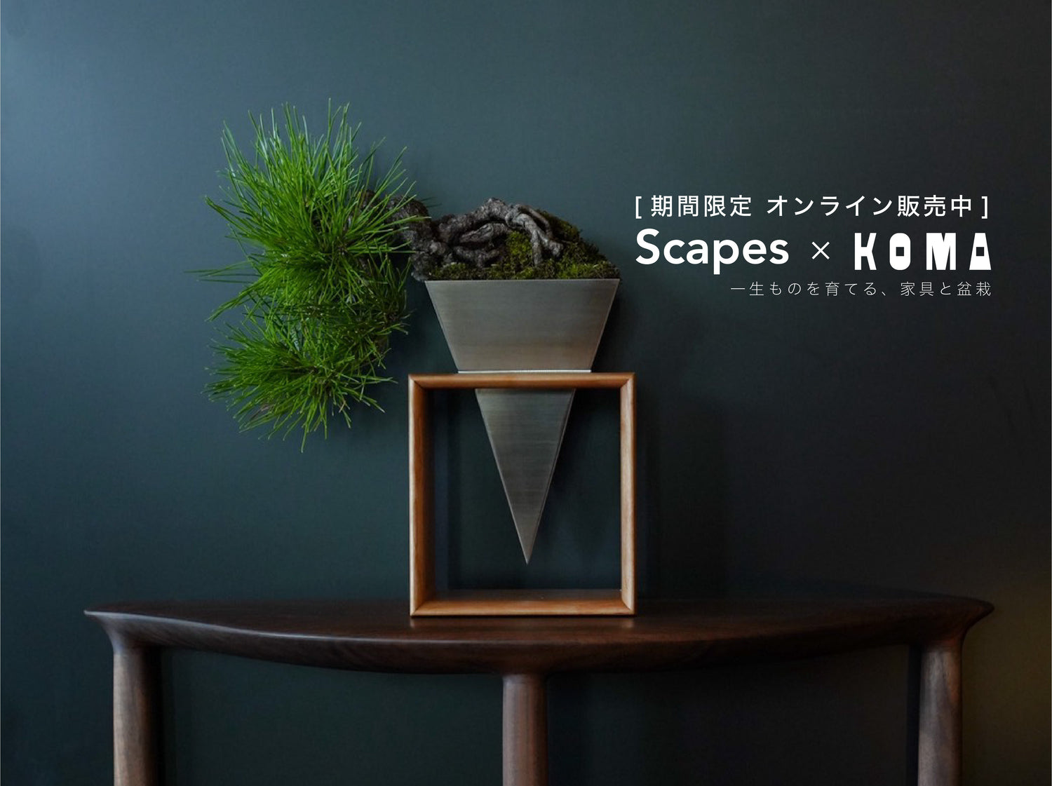 【Scapes x KOMA】