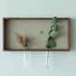 【若い衆作品】  plant frame no.2　髙橋こころ