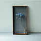 【若い衆作品】  plant frame no.3　髙橋こころ