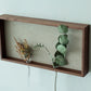 【若い衆作品】  plant frame no.2　髙橋こころ