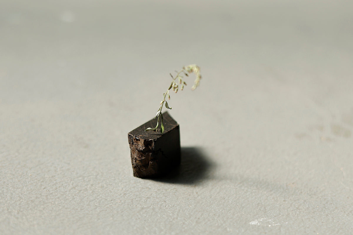 【若い衆作品】iwa vase / 黒神代ケヤキ(小)　武内舞子