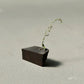 【若い衆作品】iwa vase / 黒神代ケヤキ(小)　武内舞子