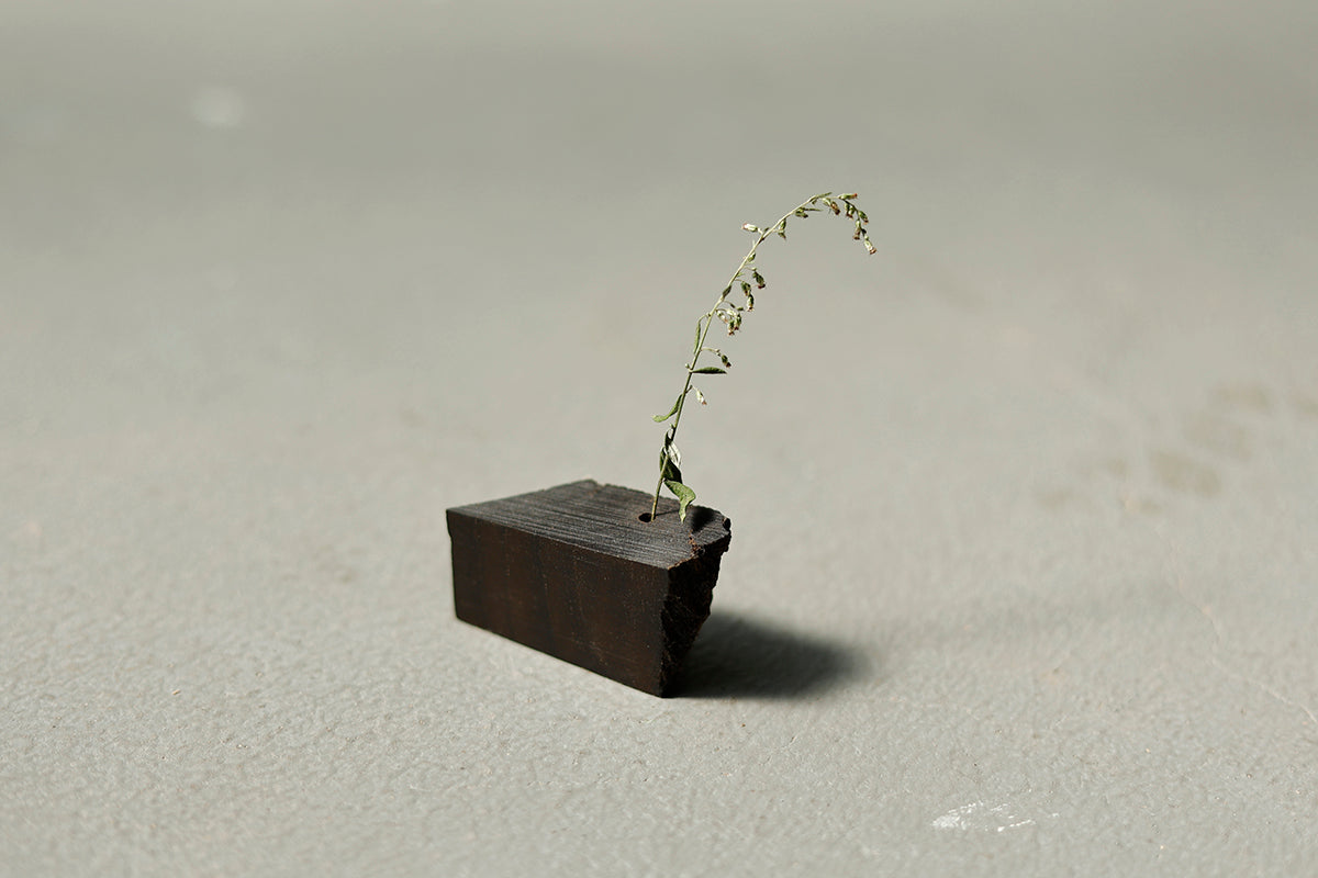 【若い衆作品】iwa vase / 黒神代ケヤキ(小)　武内舞子