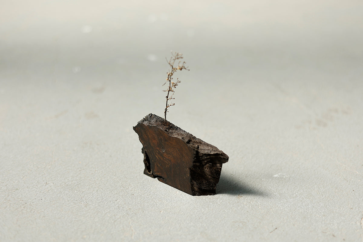 【若い衆作品】iwa vase / 黒神代ケヤキ(大)　武内舞子