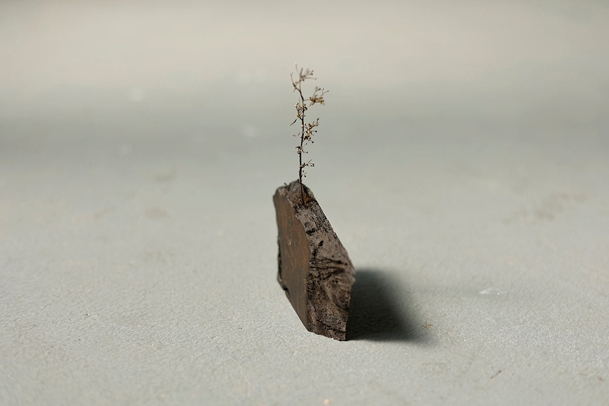 【若い衆作品】iwa vase / 黒神代ケヤキ(大)　武内舞子