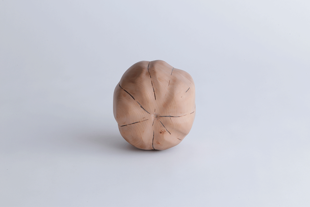 【若い衆作品】　kabocha　武内舞子