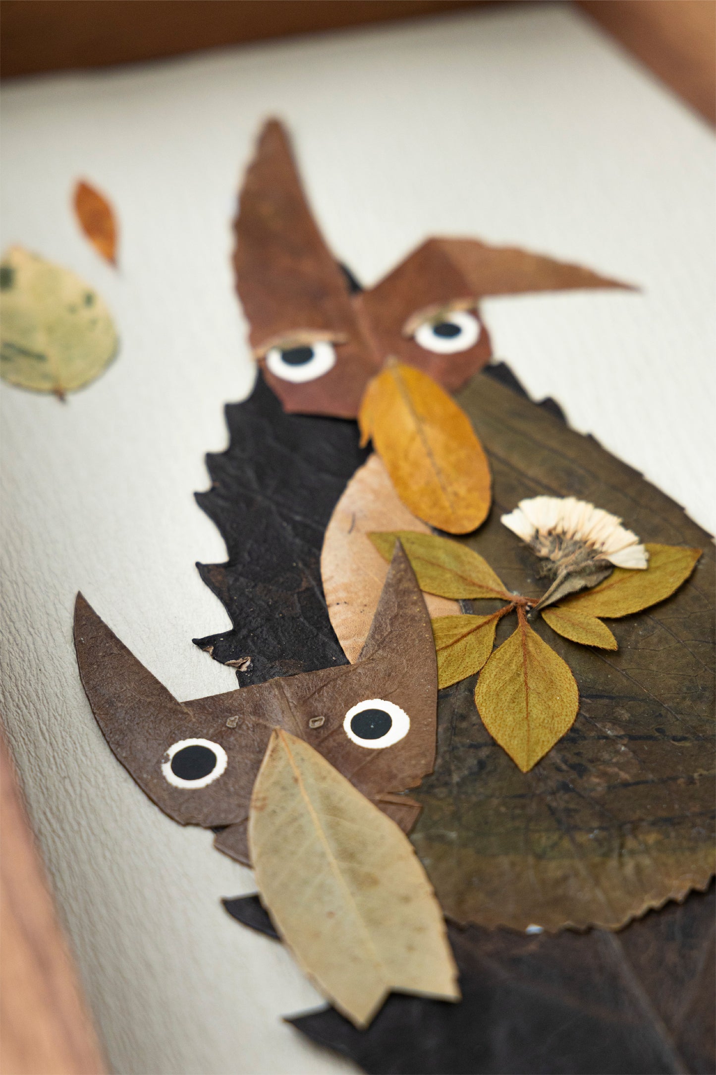 矢野TEA×KOMA no.5