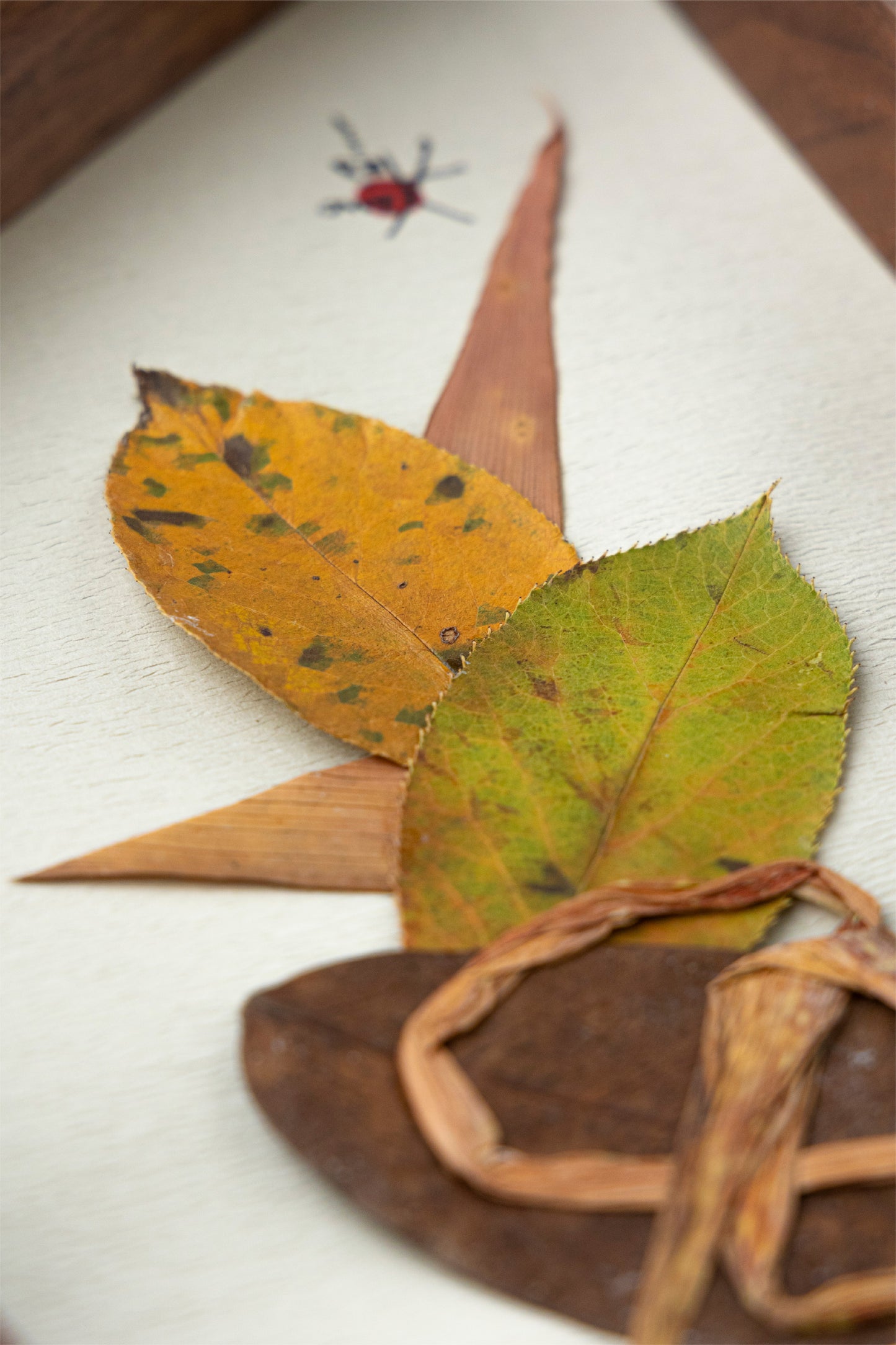 矢野TEA×KOMA no.6