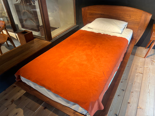 bed-10 WN シリアル？【 展示品 】