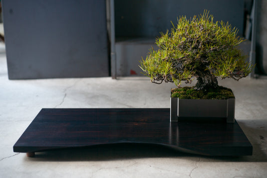 【Scapes × KOMA】一枚板 盆栽飾り台　黒檀　※画像の盆栽はセットではございません。