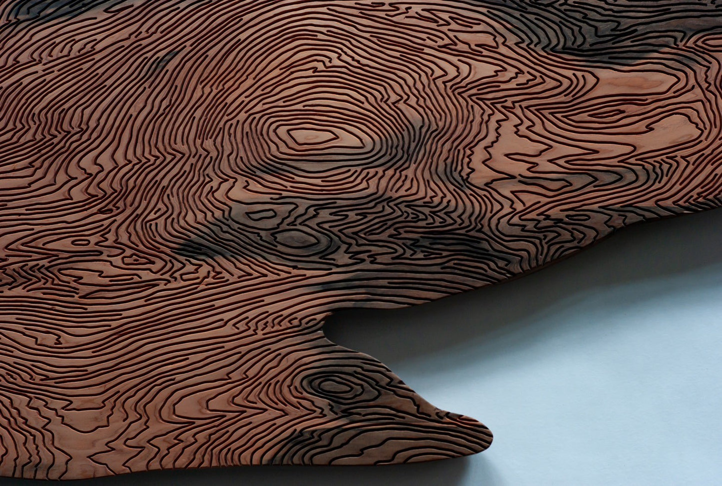 一枚板 artwork 屋久杉　