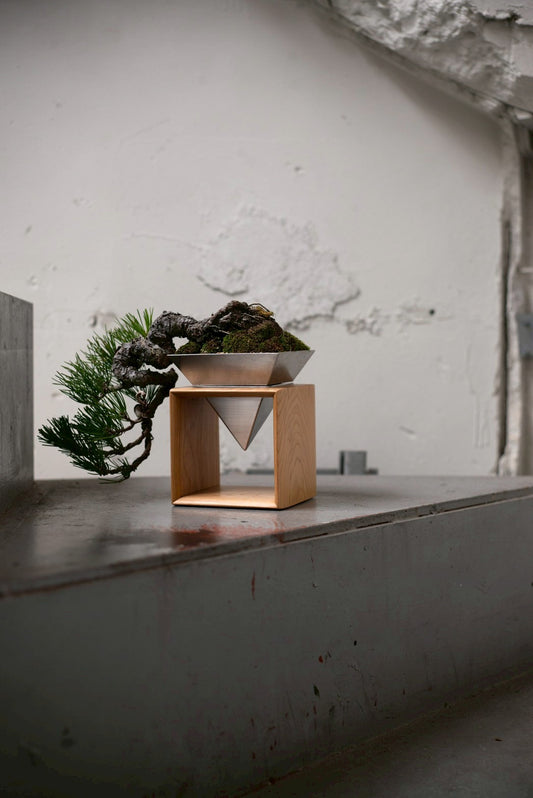 【Scapes × KOMA】黒松（くろまつ）※鉢も金額に含まれています。