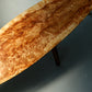 low table / 変木杉 5303