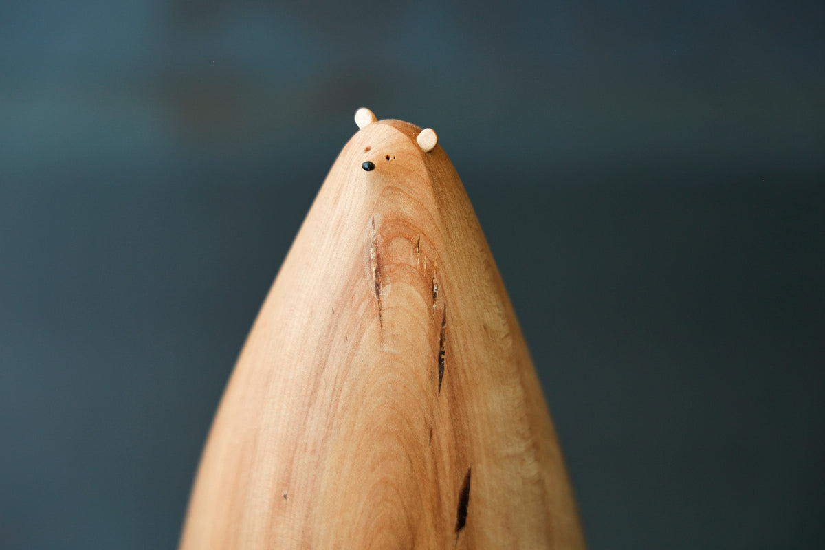 shirokuma 0508