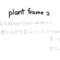 【若い衆作品】  plant frame no.2　髙橋こころ