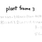 【若い衆作品】  plant frame no.3　髙橋こころ
